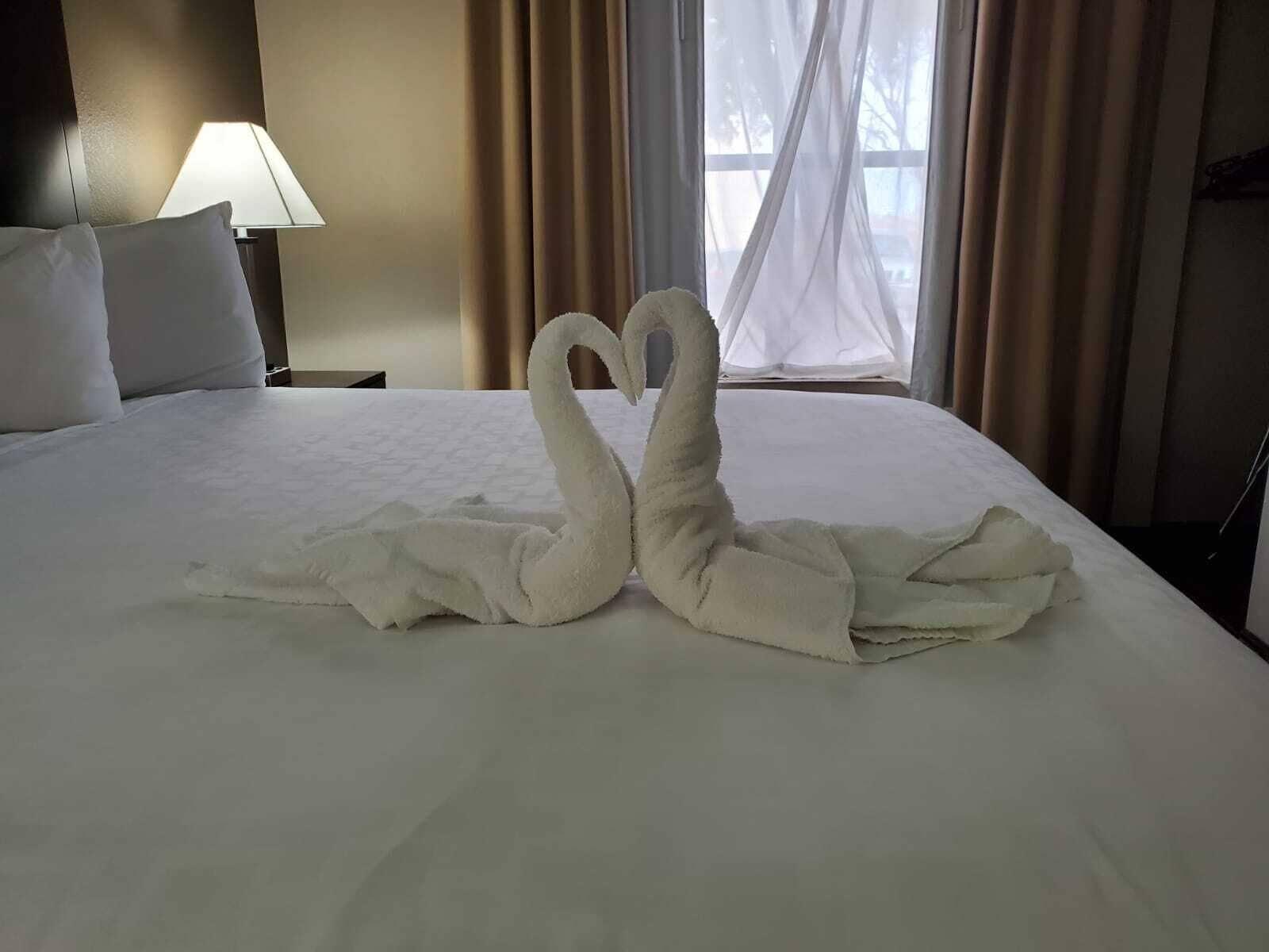Surestay Plus By Best Western Plano